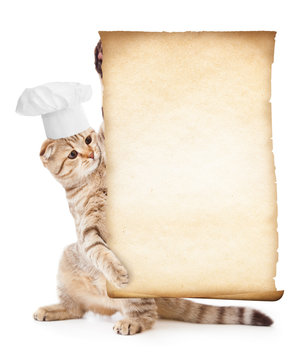 funny cat in chef hat holding parchment for menu