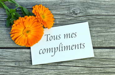 Naklejka premium congratulations