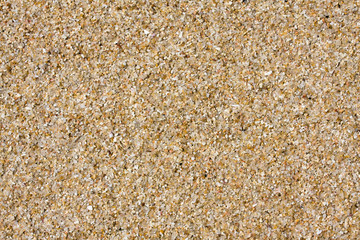Sand Texture