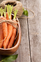 Fresh carrot with green leaves