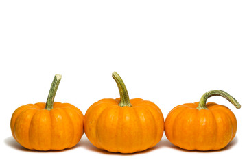 Mini Pumpkins
