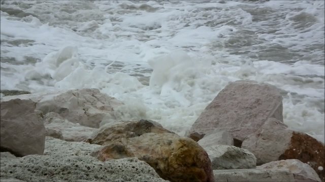 mare