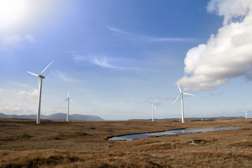 sunshine and bogland with wind turbines