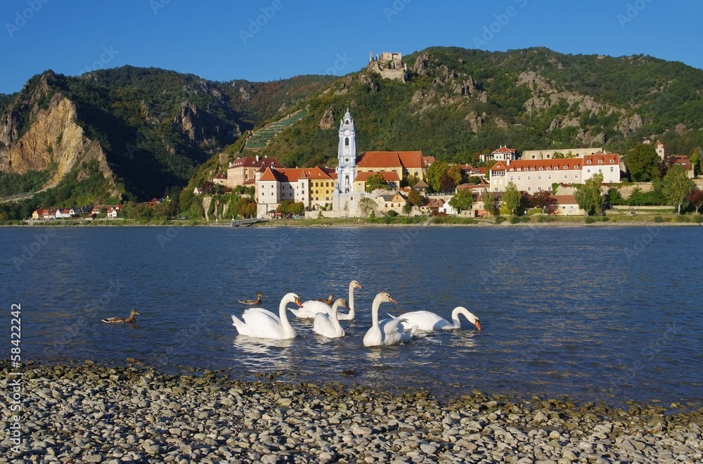 Poster Duernstein mit Schwan - Duernstein with swan 03