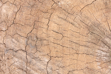 wood texture
