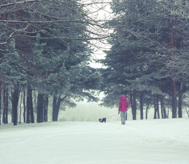 Woman with Small Dog Walking in Winter Park