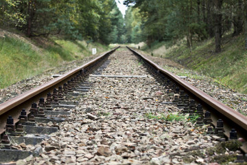 Railroad Tracks in the Forest