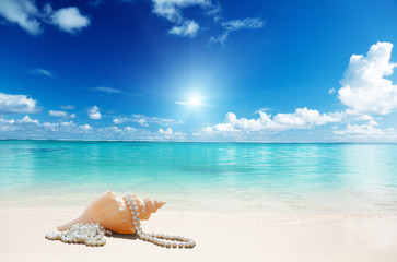 Fototapeta na wymiar muszelki i perły na plaży