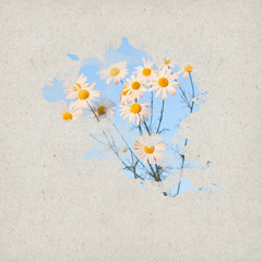 Vintage Flower Background Design