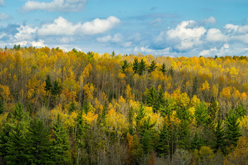 Fototapeta premium ontonagon river valley, autumn