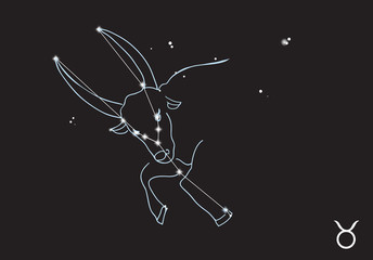 Taurus constellation