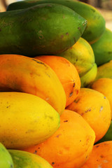 Papaya fruit in the market