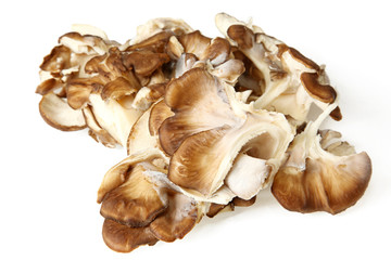 Close Up Of Maitake Mushrooms