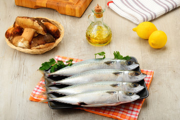 Pesce sgombro fresco pescato