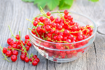 Red currants in glass bowl