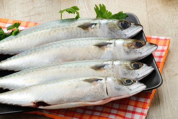 Pesce sgombro fresco pescato