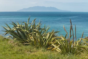 Papier Peint photo Nouvelle-Zélande Lin de Nouvelle-Zélande avec Little Barrier Island à l& 39 horizon
