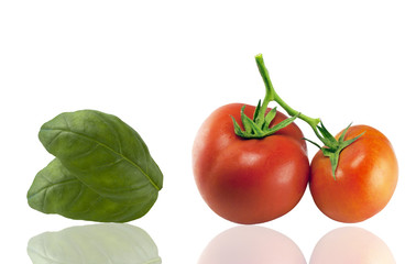 Basilico e Pomodori