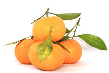 Group of orange anf leaves