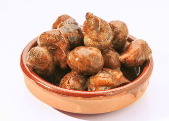 escargot cooked in sauce served in earthenware dish