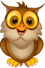 cute owl cartoon posing