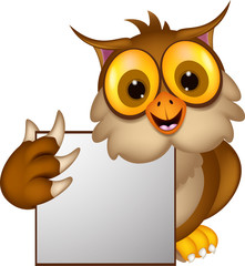cute owl cartoon holding blank sign