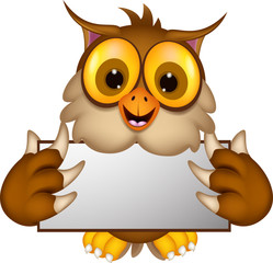 cute owl cartoon holding blank sign