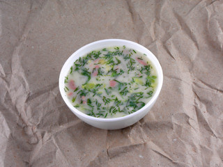 russian cold vegetable soup on yogurt (sour-milk)