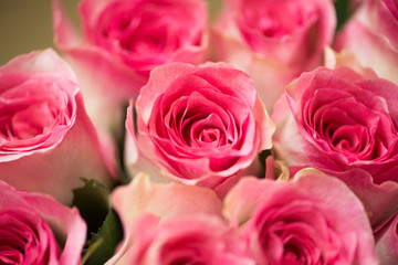 Fototapeta na wymiar Nice roses in celebration concept