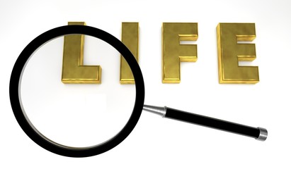 life,search