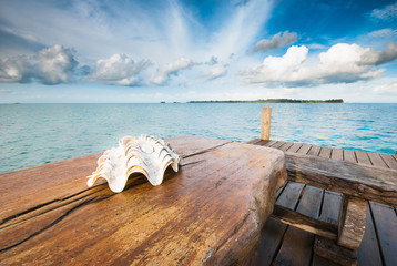 Seashells on the table near the sea