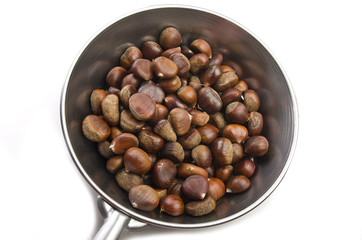 delicious group of chestnuts close up shoot