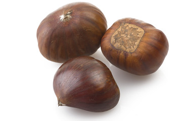 chestnuts group close up on the white