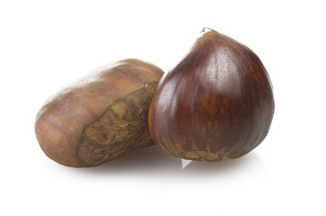 chestnuts group close up on the white