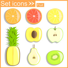 Fruits sectional, vector illustration