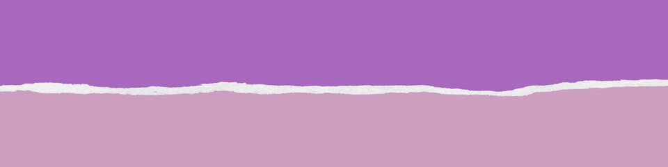 Ripped purple paper banner