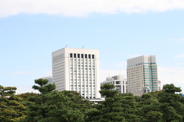 Obraz na płótnie Canvas Tokyo office building
