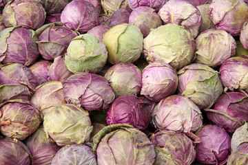 Fototapeta na wymiar Purple cabbage pile full frame