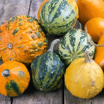 Pumpkins On A Wooden Table , Backrounds