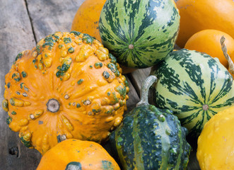 Pumpkins on a wooden table , backrounds