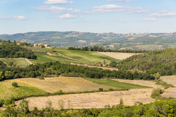 Fototapeta na wymiar Hills of Siena - Tuscany - Itali