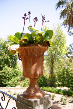 Oldest Arabic flower pot