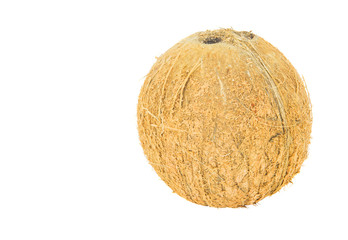 Fresh coconut on white background