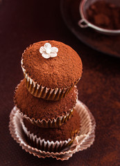 Homemade cupcakes decorated with cocoa and little flower