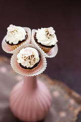 Bouquet of little cupcakes. Selctive focus