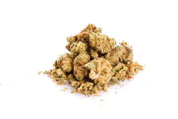 Marijuana cannabis on white background