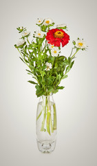 Bouquet from red daisy-gerbera and white aster in glass vase