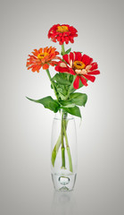 Fototapeta premium Bouquet from red daisy-gerbera in glass vase