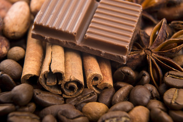chocolate with coffee beans, spices and cacao