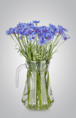 Cornflowers flowers in jug